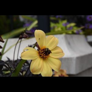 Meet your Posher, Sonya